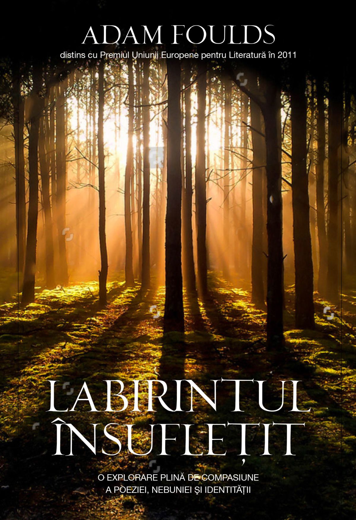 Labirintul insufletit - Adam Foulds