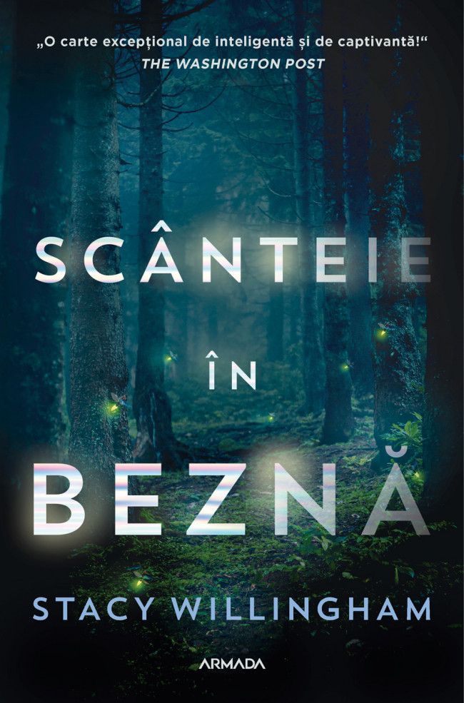 Scanteie in bezna - Stacy Willingham