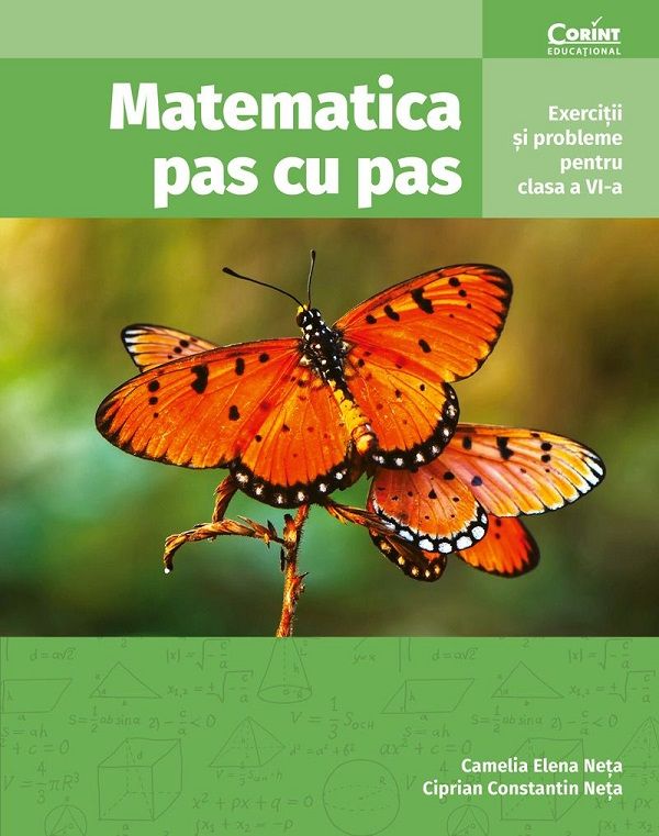 Matematica pas cu pas - Clasa 6 - Exercitii si probleme - Ciprian Constantin Neta, Camelia Elena Neta