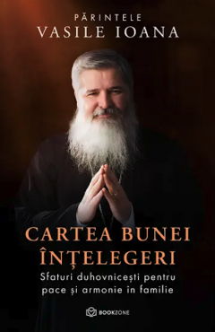 Cartea bunei intelegeri - Vasile Ioana