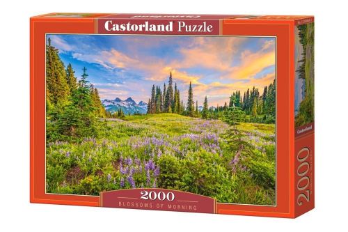 Puzzle 2000 piese blossoms of morning-castorland 200863