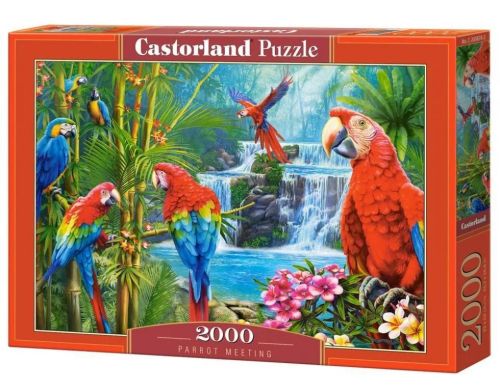 Puzzle 2000 piese parrot meeting castorland 200870