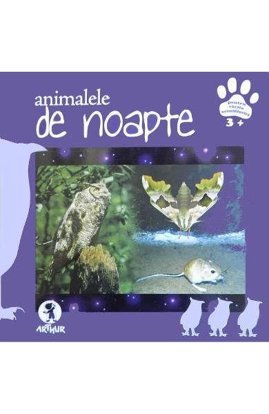 Animalele de noapte-art