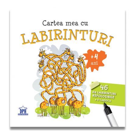 Cartea mea cu labirinturi - 46 de labirinturi refolosibile