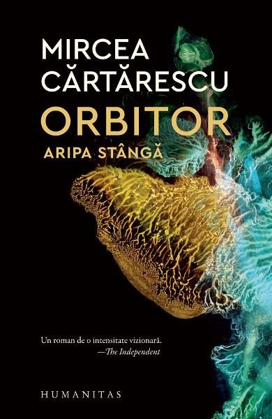 Orbitor. Aripa stanga n