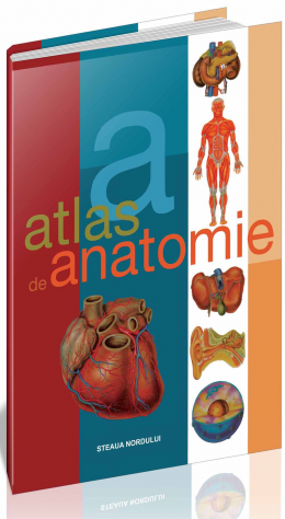 Atlas de anatomie