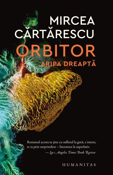 Orbitor. Aripa dreapta n