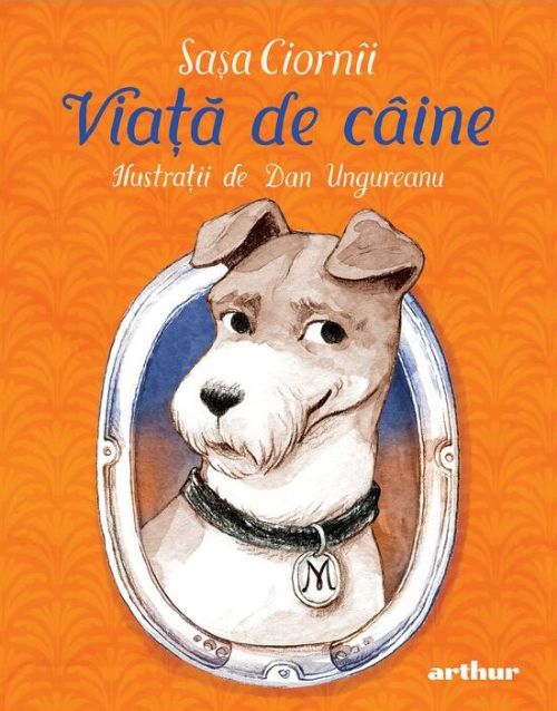 Viata de caine - Sasa Ciornii