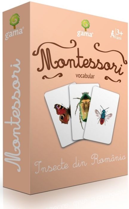 Carti de joc Montessori - Insecte din Romania