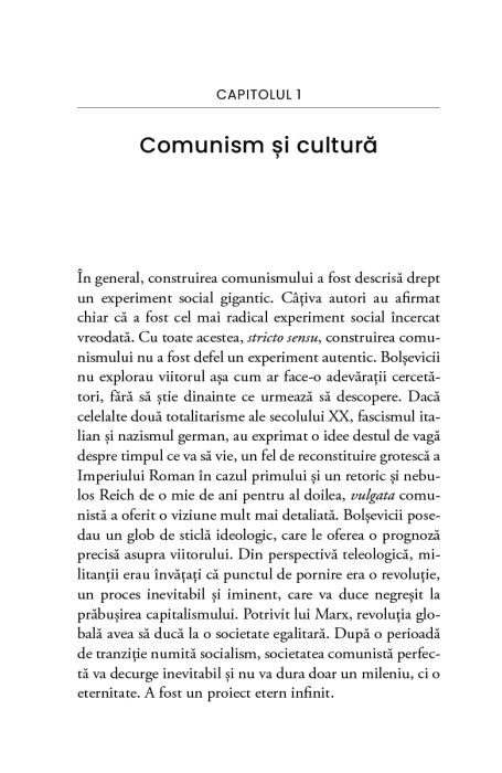 Comunism si cultura. O introducere - Radu Stern, Vladimir Tismaneanu 