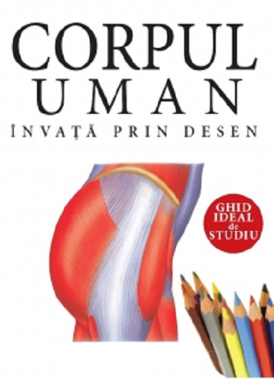 Corpul uman - Invata prin desen - Ghid ideal de studio 