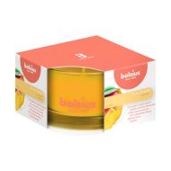 Lumanare parfumata in pahar sticla mango 101925256710