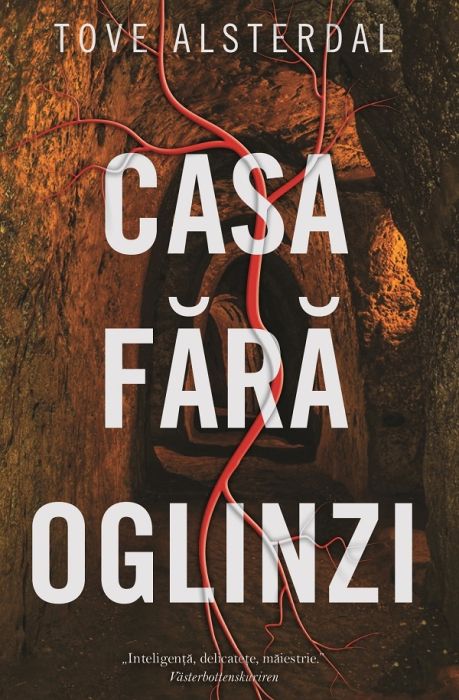 Casa fara oglinzi -  Tove Alsterdal