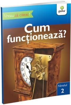 Cum functioneaza? - Denise Ryan