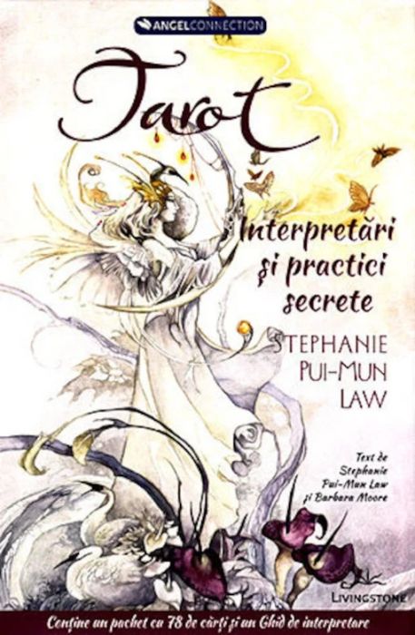 Tarot - interpretari si practici secrete