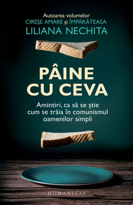 Paine cu ceva - Liliana Nechita