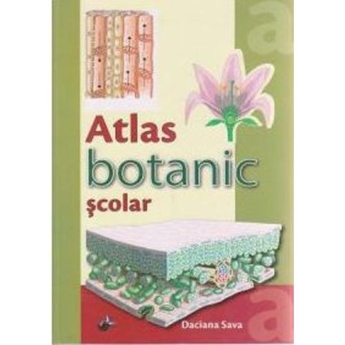 Atlas botanic scolar - Daciana Sava