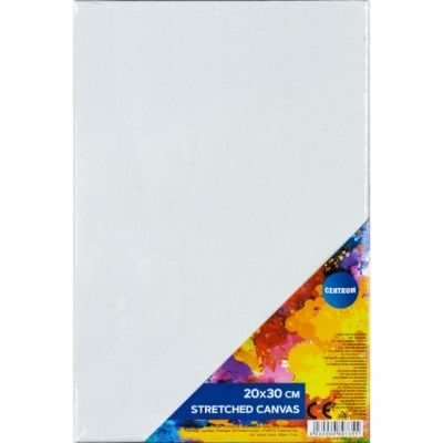 Canvas dimensiune 20x30cm pe sasiu de lemn 320g/m 89735